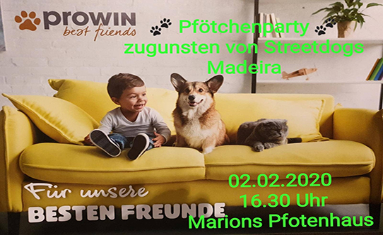 Prowin-Pfötchenparty