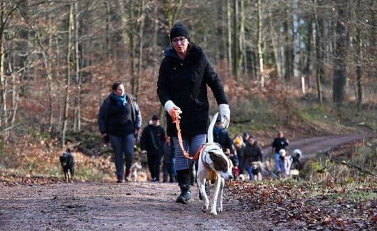 1. Wanderung der Happy-Streetdogs 2020