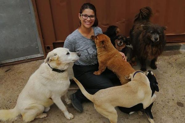 Noch auf Madeira . . .